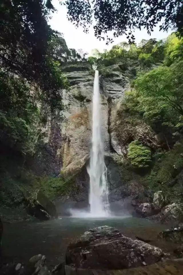 票房冠军！陈国坤逆袭回归，西装暴徒打戏太过瘾